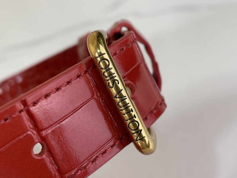 LV Speedy Bags